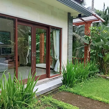Trecof Jungle Villa